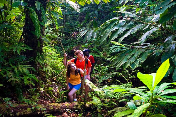 Waterfall, Rainforest, Chocolate Tour & Historical Sites - Is two hours enough?