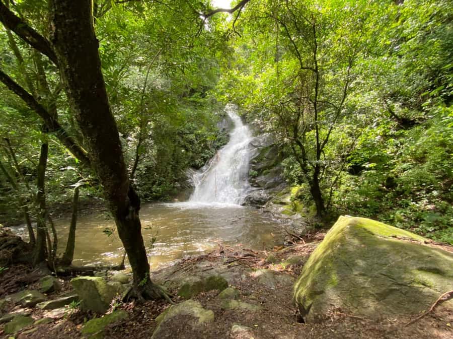 Waterfalls, Animal Reserve and Chocolate: Mango Passage - Key points to know before booking
