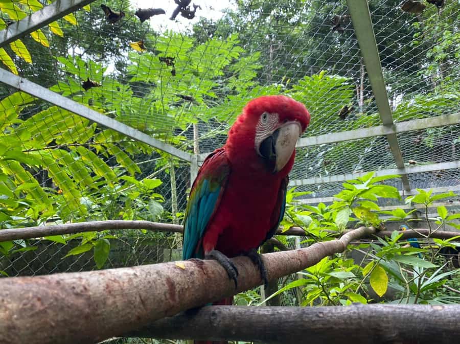 Waterfalls, Animal Reserve and Chocolate: Mango Passage - An animal reserve with a wider conservation message