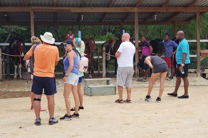 Wildlife adventure, Chocolate factory, city Tour & Beach Break - A flexible way to see several sides of Roatan