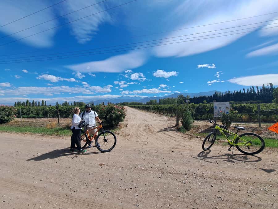 Wine and Chocolate Bike Tour: ride, taste, lunch, vineyards. - Who should book this Mendoza tour