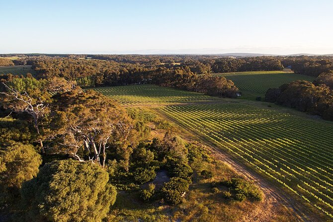 Wine and Chocolate Bonbon Tasting in Margaret River - Why the wine and chocolate pairing works