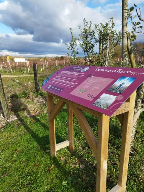 Wine and Chocolate experience - Why the local chocolate matters