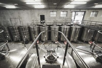 Wine and Chocolate experience