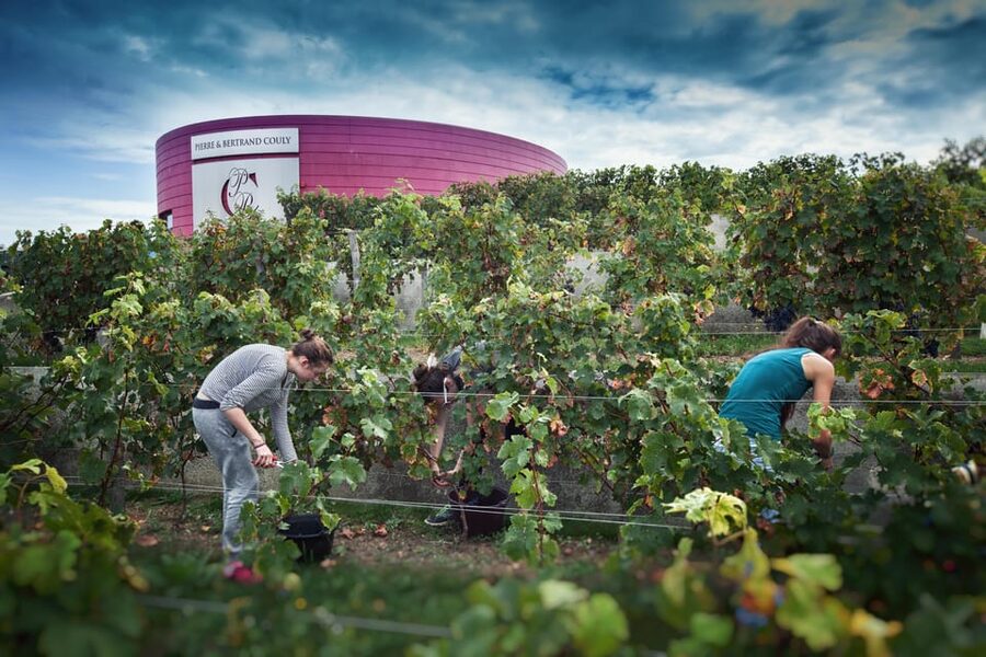 Wine and Chocolate experience - Should you book the Wine and Chocolate experience?