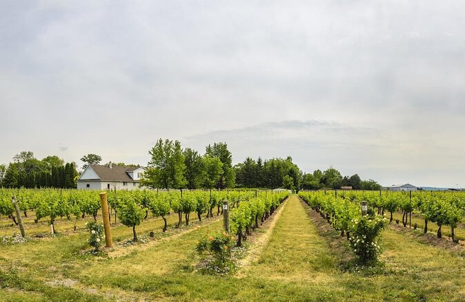 Wine, Cheese, Chocolate 6 Hour Tasting Tour with Lunch - At a glance