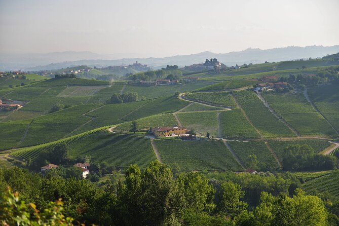 Wine & Chocolate Tour and Tasting in Alba area - How the Venchi chocolate pairing works