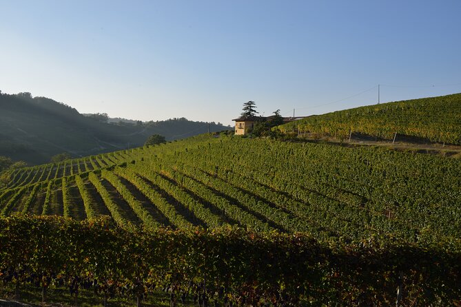Wine & Chocolate Tour and Tasting in Alba area - What the price means at $66.72