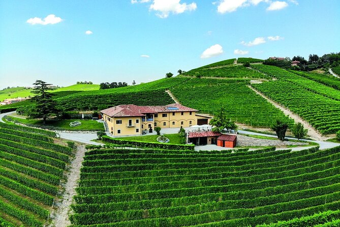 Wine & Chocolate Tour and Tasting in Alba area - Who will enjoy this experience most