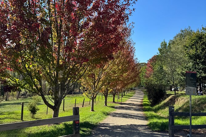 Yarra Valley Foodie Tour, Devonshire Tea, Cheese and Chocolate - Stop five: Kilsyth and the bakery bánh mì