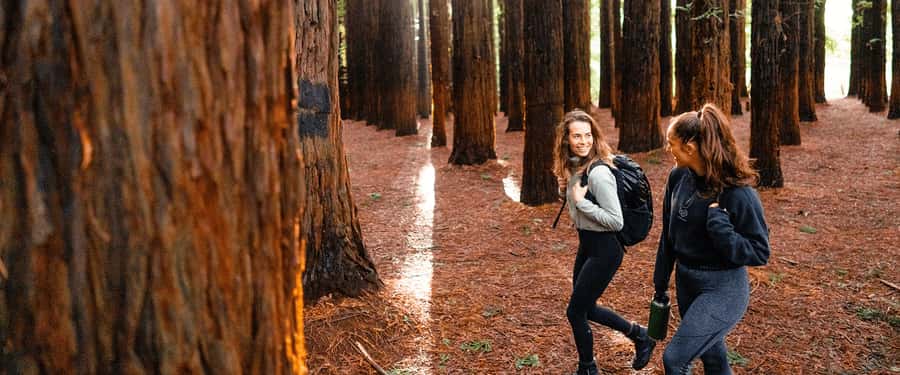 Yarra Valley | Redwoods, Wildlife, Wine, Chocolate - Leaving Queen Victoria Market