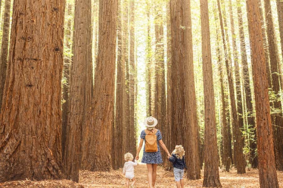 Yarra Valley | Redwoods, Wildlife, Wine, Chocolate - Tasting Victoria’s first vineyard at Yering Station