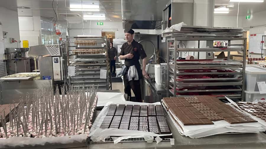 Yarra Valley | Redwoods, Wildlife, Wine, Chocolate - Spending nearly three hours at Healesville Sanctuary