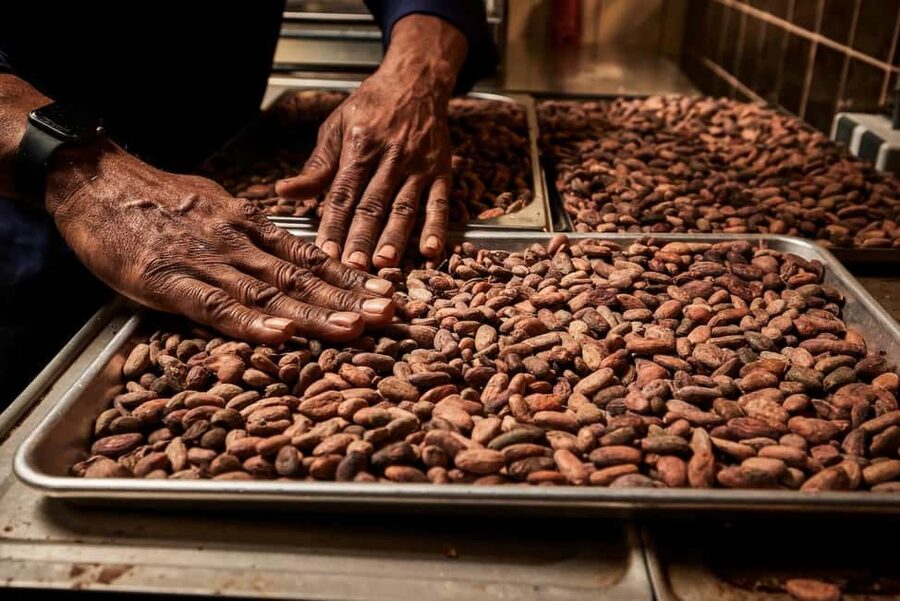 Zaandijk-Near Zaanse Schans Chocolate making demo & tasting - Why the Zaan cacao connection matters
