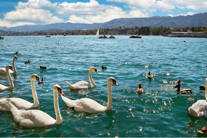 Zurich with Cruise and Lindt Home of Chocolate Private tour - What the private format adds